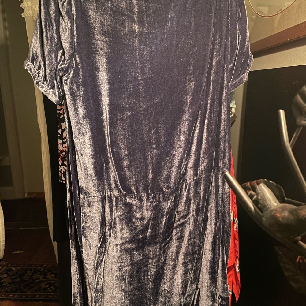 Floreat Velvet Dress in Deep Blue